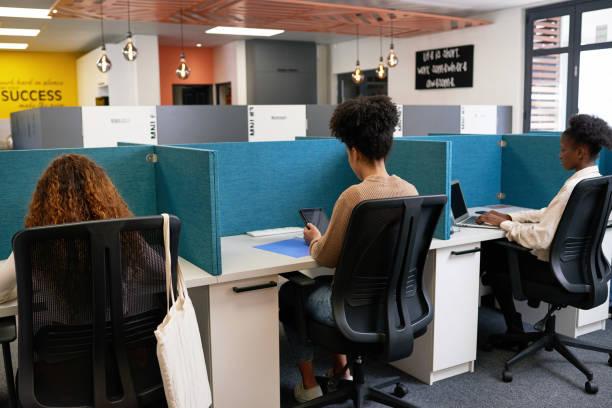 Cubicle Office: Navigating Efficiency and Privacy in the Modern Workplace